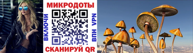 Псилоцибиновые грибы MAGIC MUSHROOMS  Новошахтинск 